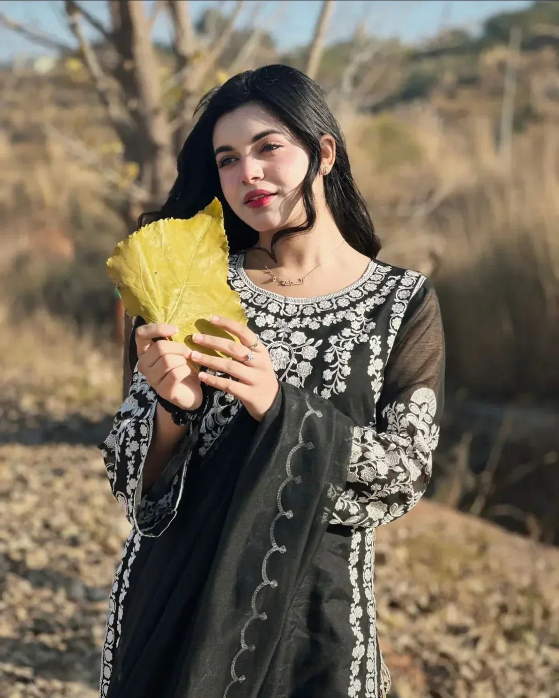 Dur e Fishan organza 2pc stitched